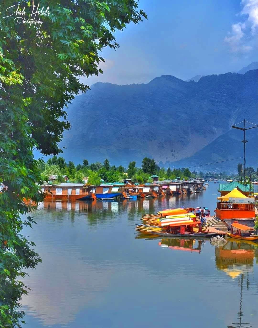 Kashmir Valley Green Meadows