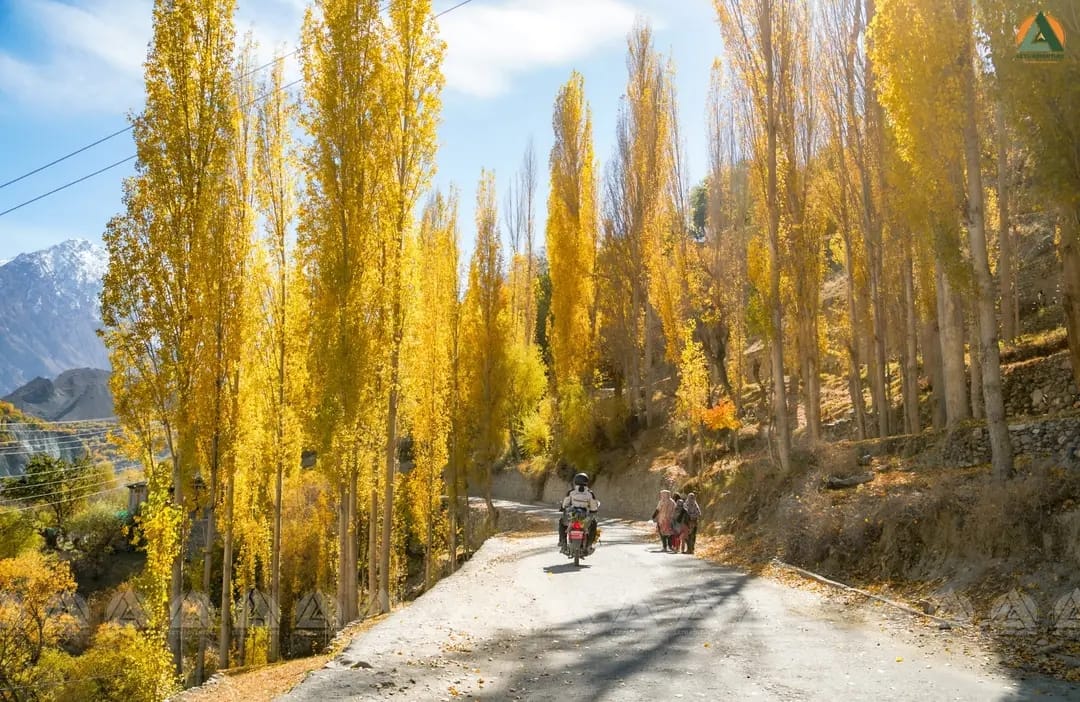 How to Acclimatize in Ladakh: The Ultimate High-Altitude Health Guide