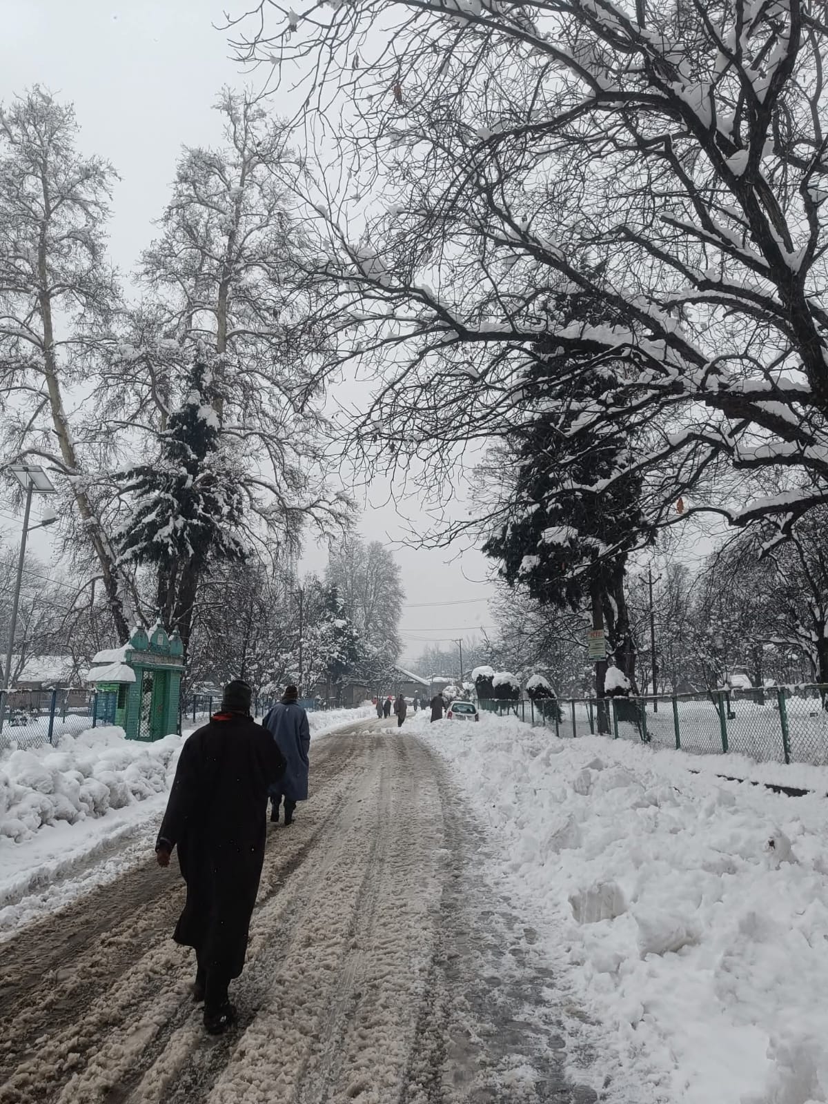 Best Time to Visit Kashmir: A Complete Season-by-Season Travel Guide